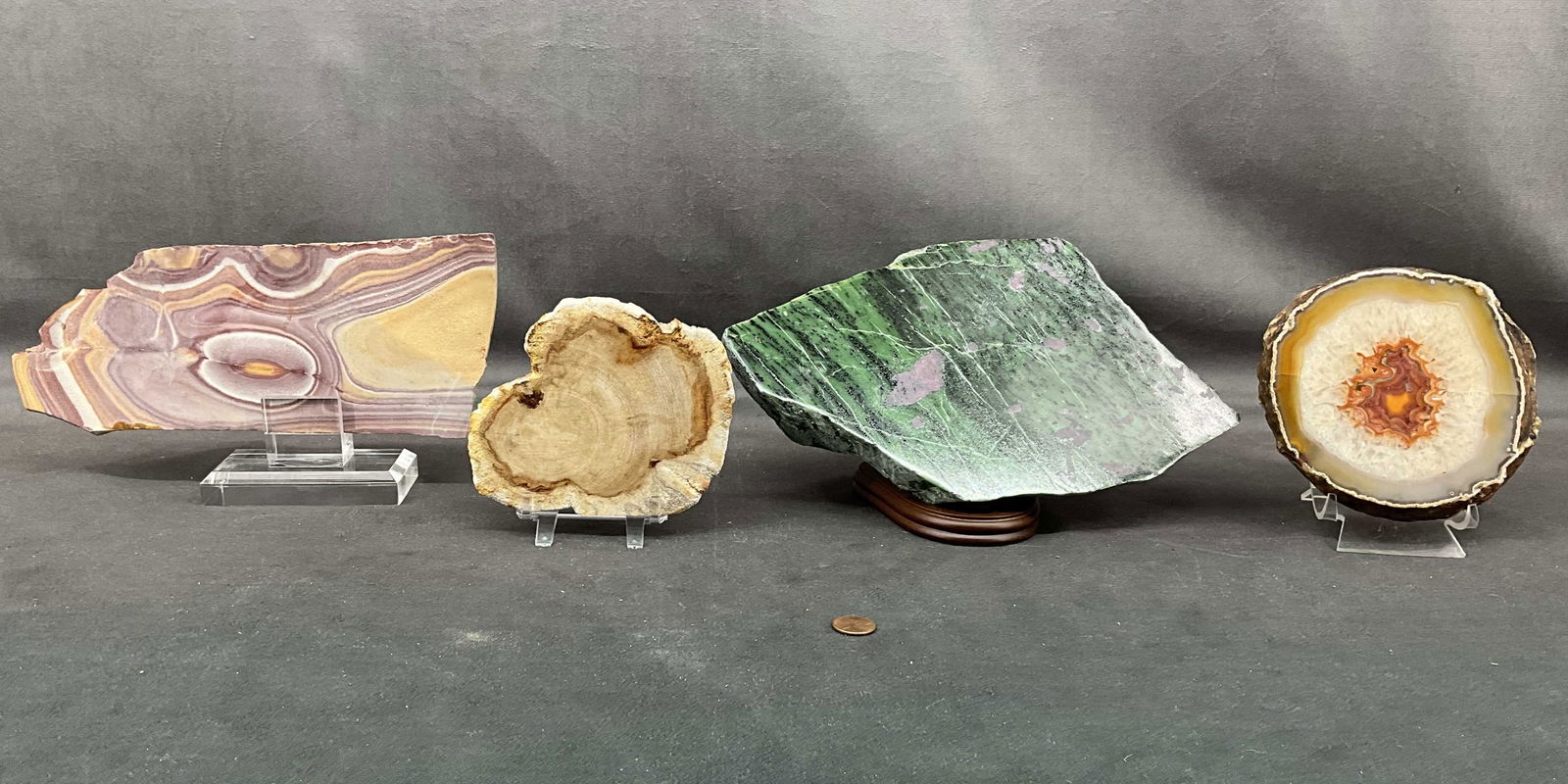 Ruby In Zoiste, Sandstone, Petrified Wood Slabs (1 of 10)