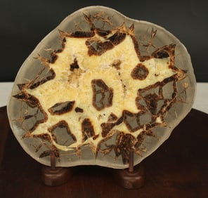 Large septarian Node, Dragon Egg