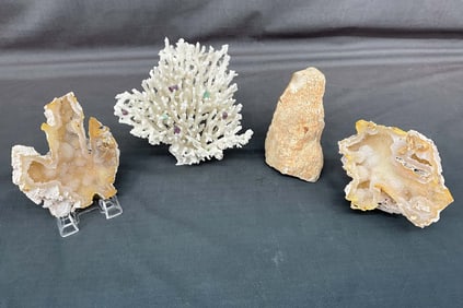 Pencil Coral, Coral Geode