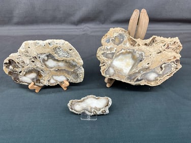 Large Coral Geodes On Stand