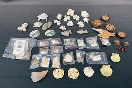 Generous Seaside Mixed Lot