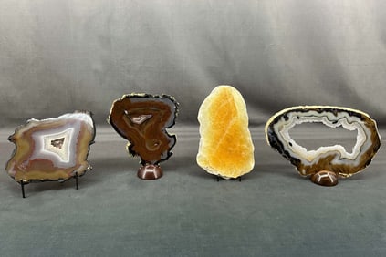 Four Large Slab Specimens