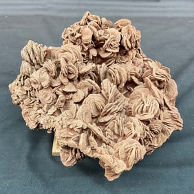 Large Desert Rose on Stand