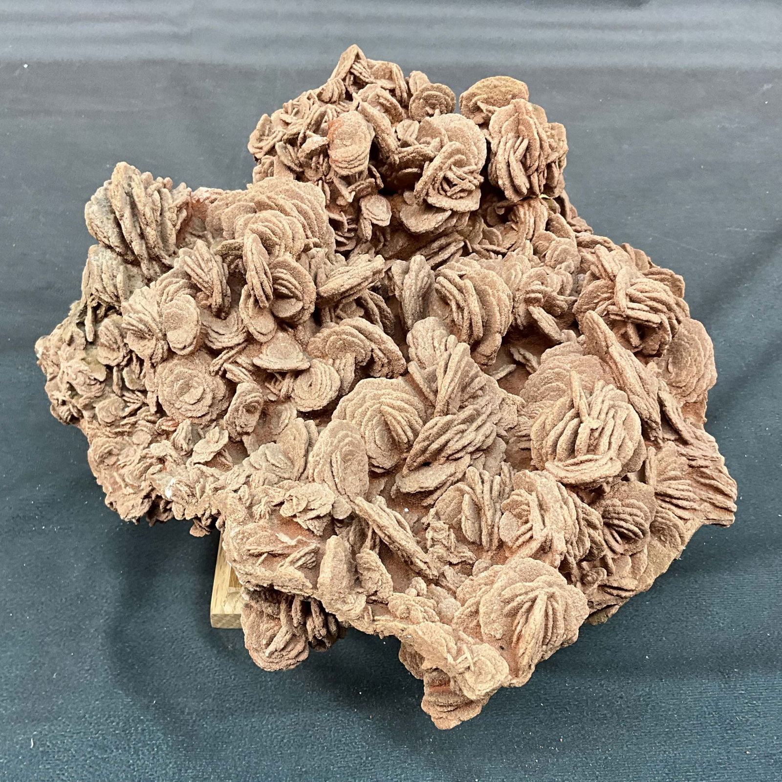 Large Desert Rose on Stand (1 of 5)