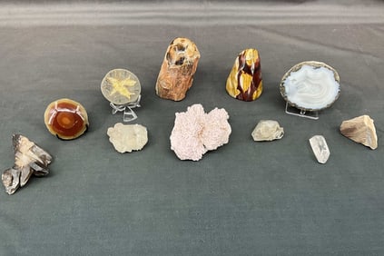 Dololomite, Mookalite, Petrified Wood, & More