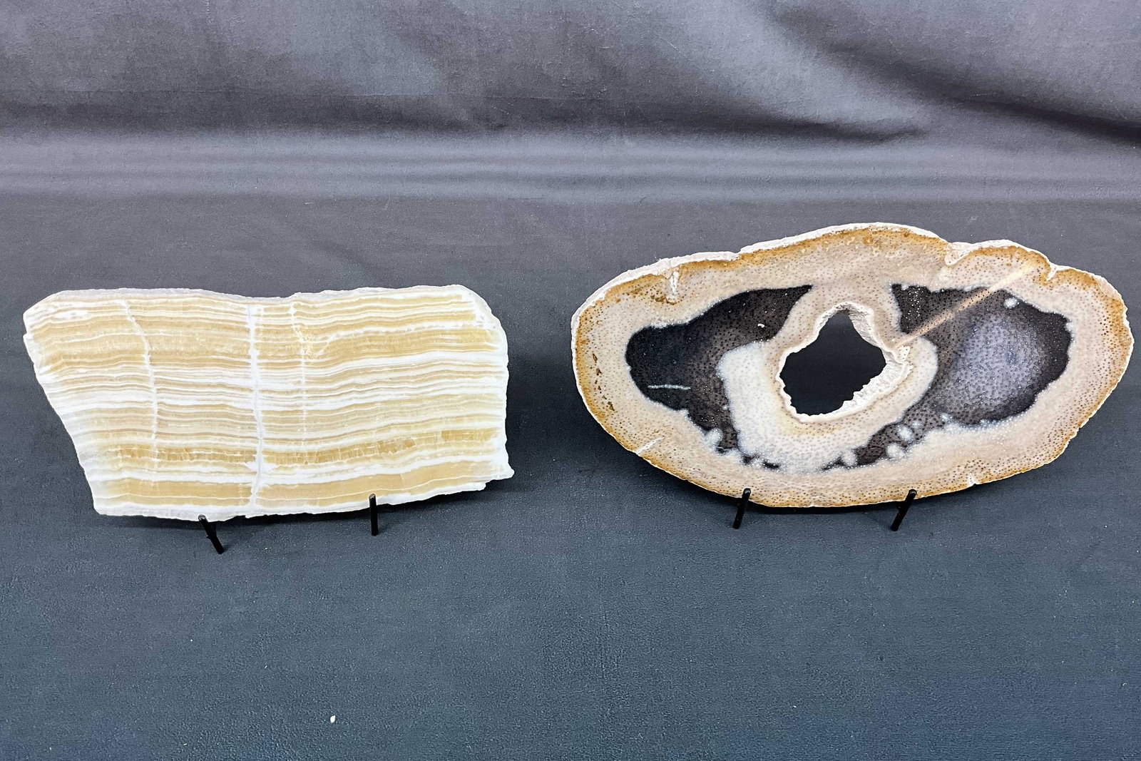 Petrified Wood and Onyx Slabs: Petrified Palm wood and banded onyx slabs on stands. Size: 7.5"T x 14"L x 0.75"D; 6"W x 11"L x 0.5"D Provenance: From the lifetime collection of an Oreland, Pennsylvania private estate. Shipping Optio