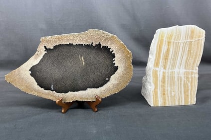 Onyx Bookend & Petrified Wood