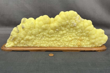 Stalactite "Turkey Fat" On Stand