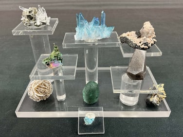 Custom Stand With Interesting Specimens