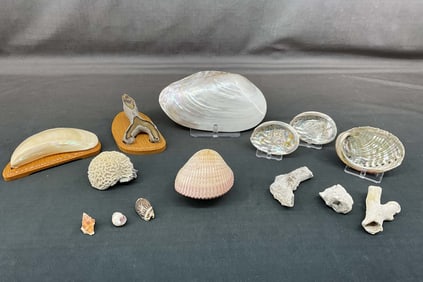 Mixed Shells, Coral Geodes, Mother Of Pearl