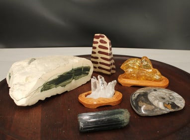 Tree Agate, Amber, Ammonite Fossil