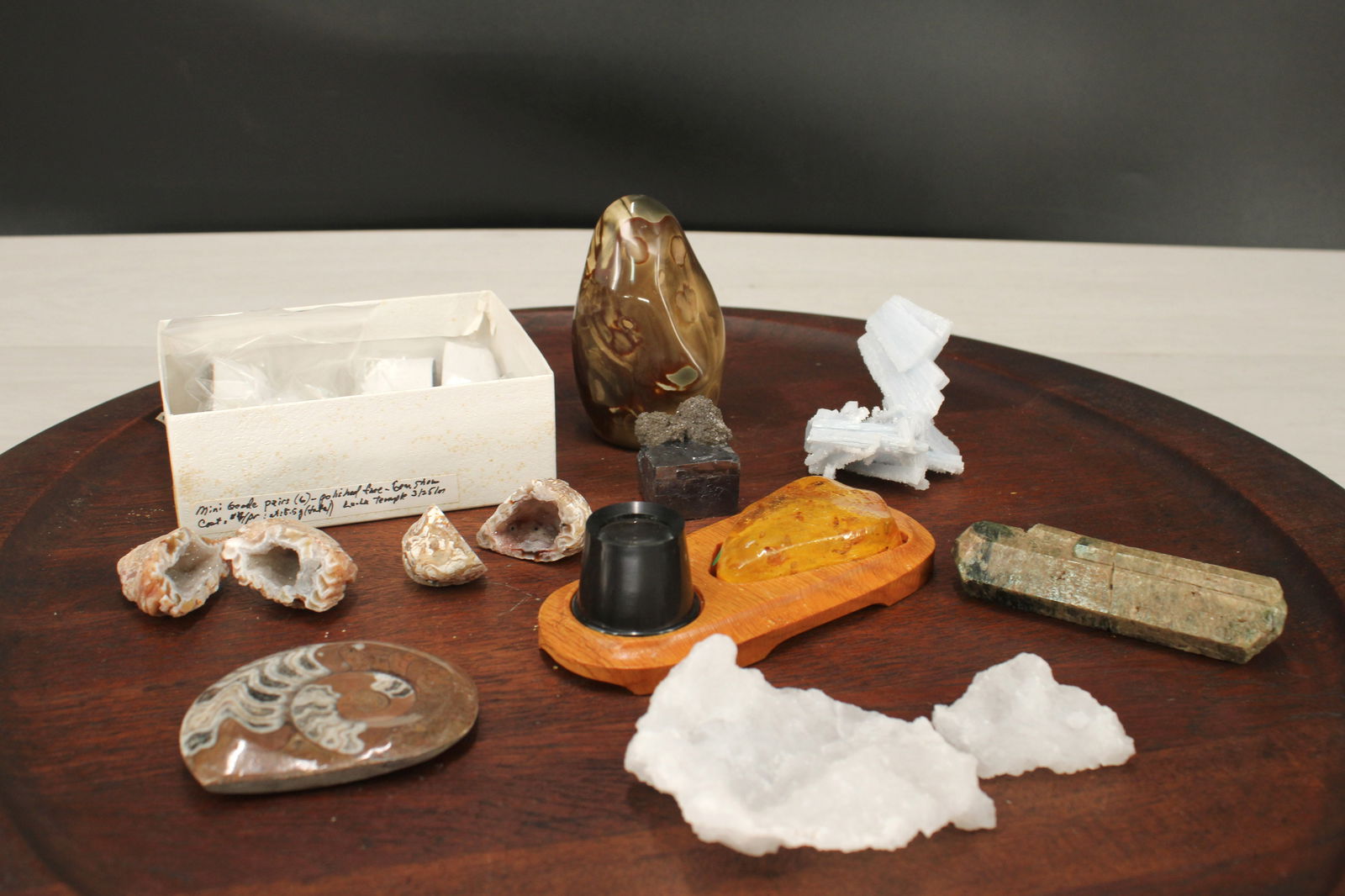 Amber, Ammonite, Green Apatite (1 of 12)