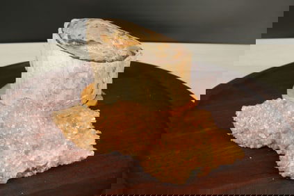 Petrified Wood, Henlandite & Mordenite