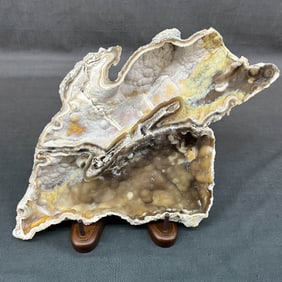 Large Crystalized Coral On Stand