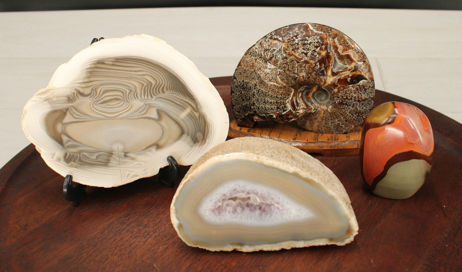 Ammonite Fossil, Polychrome Jasper (1 of 15)