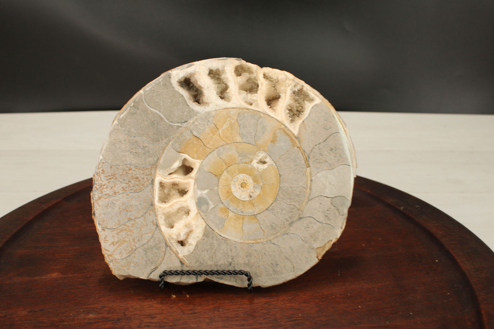 Crystalized Ammonite, Fossil: Crystalized ammonite specimen on stand. Size: see photo Provenance: From the lifetime collection of an Oreland, Pennsylvania private estate. Shipping Options: You may request shipping quotes from any