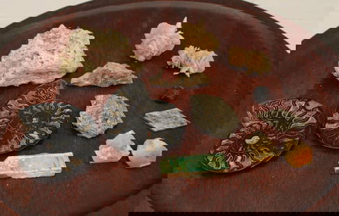 Pink Tourmaline, Mica, Garnet, Amazonite: Pink tourmaline in matrix, mica, garnet, amazonite, pyrite in serpentine, ammonite fossil cut and polished, desert roses, dolomite & citrine points. Size: see photo Provenance: From the lifetime colle