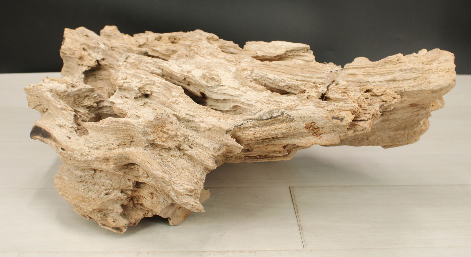 Large Petrified Wood (1 of 7)