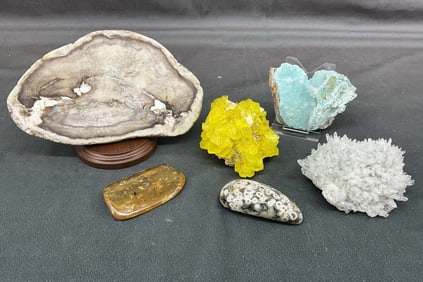 Ocean Jasper, Quartz With Pyrite, Petrified Wood
