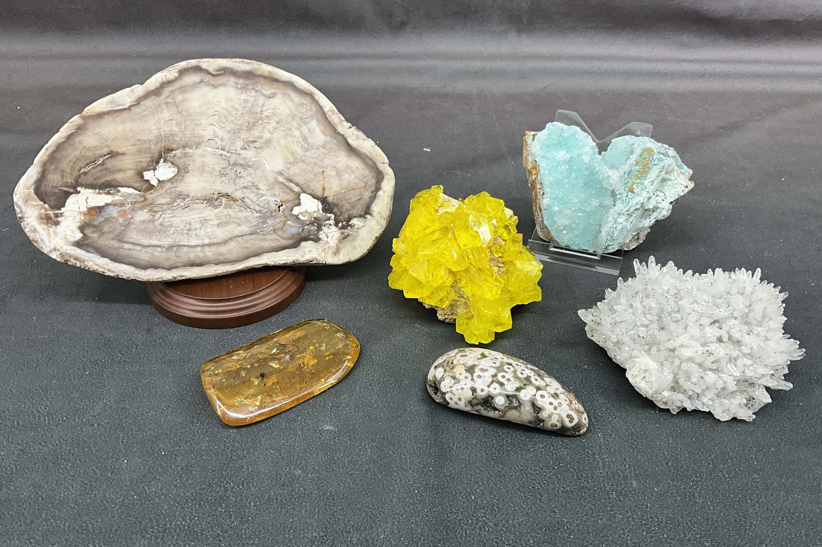 Ocean Jasper, Quartz With Pyrite, Petrified Wood (1 of 18)