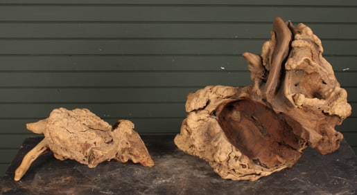 Large Burl Wood Specimens, Free Form