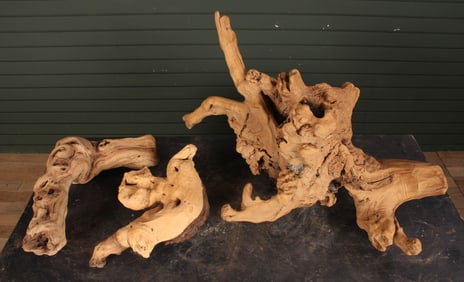 Selection Of Burl Wood Specimens