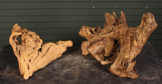 Garden Decor, Burl Wood Specimens