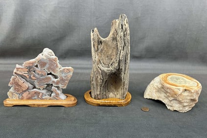 Iron Wood, Hickoryite, Stalactite