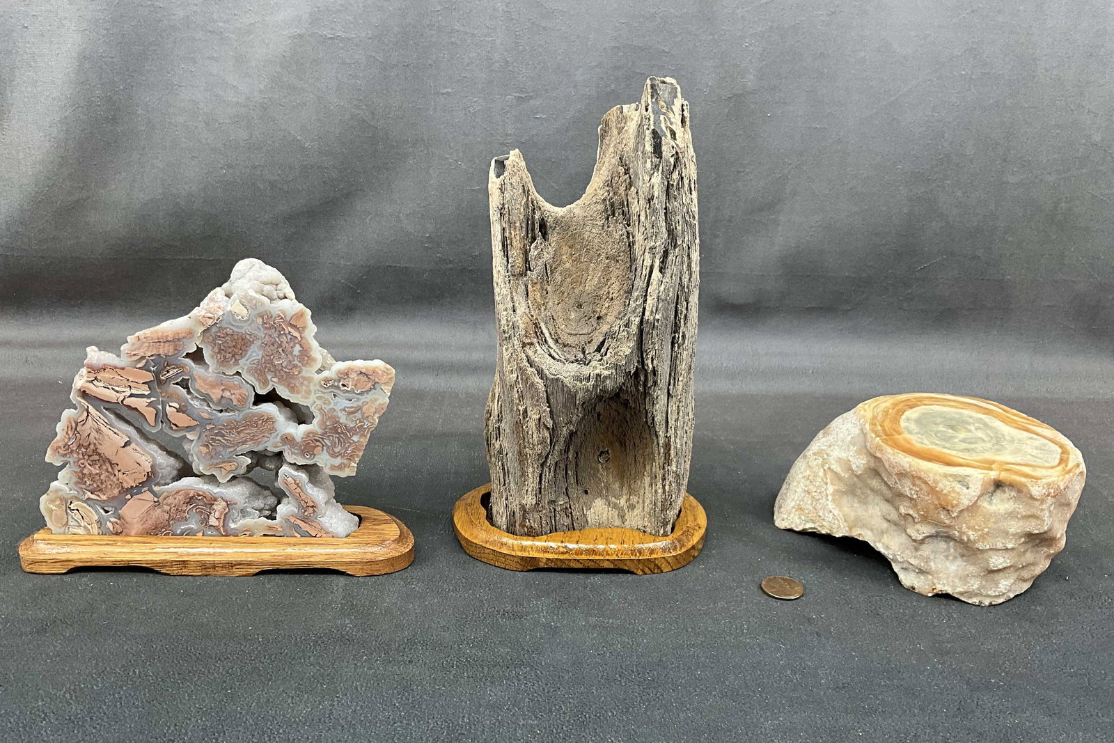 Iron Wood, Hickoryite, Stalactite (1 of 10)