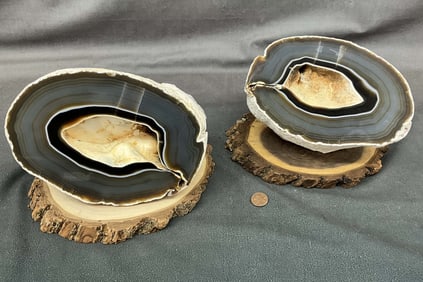 Complete Geode In Black