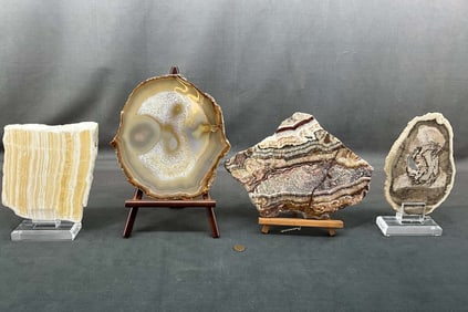 Onyx, Petrified Wood, Agate