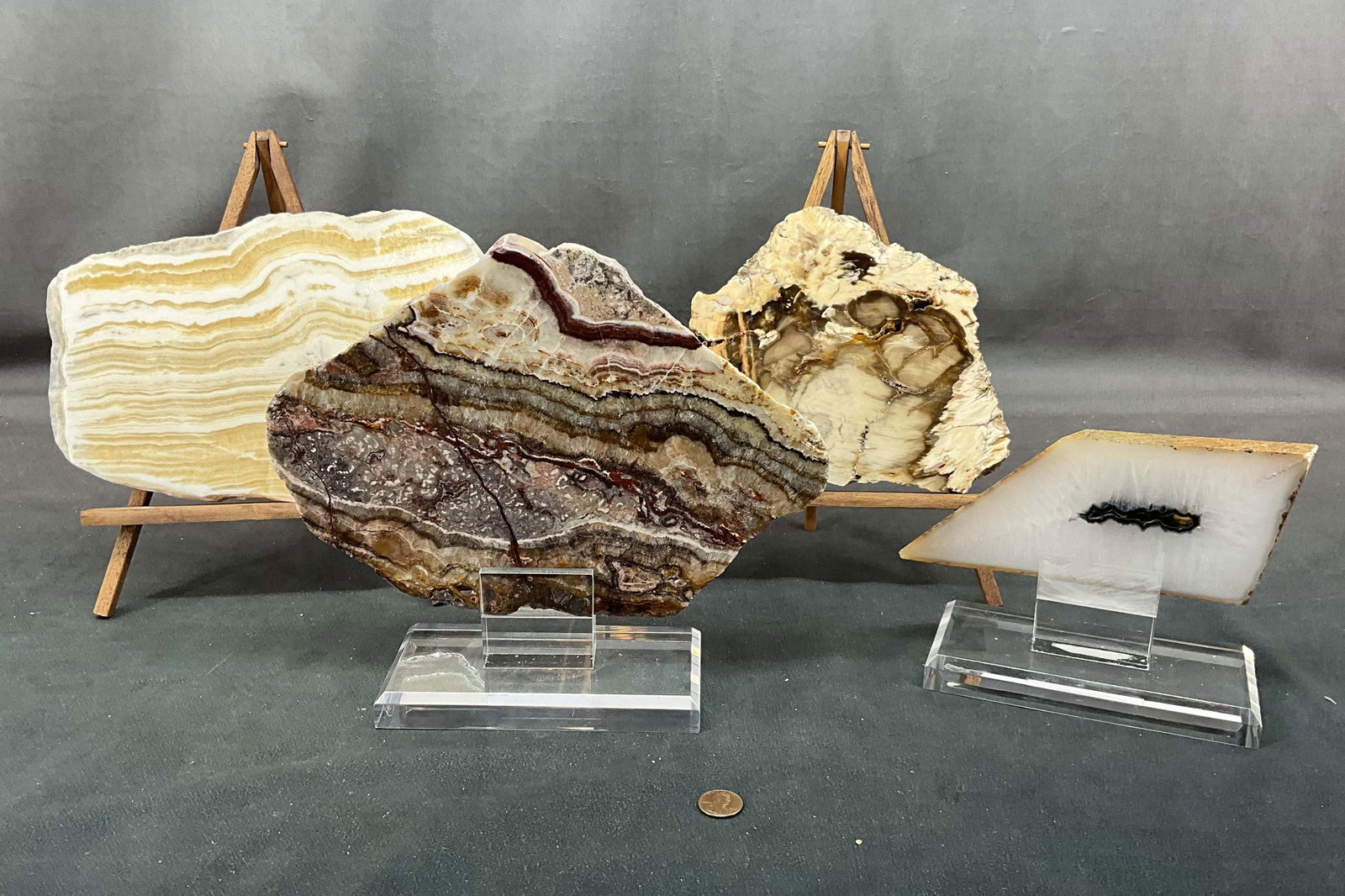 Onyx, Petrified Wood, Agate (1 of 6)