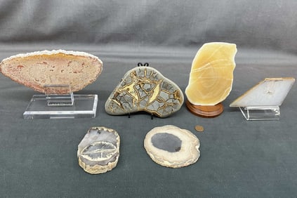 Slab Variety Specimens, Onyx, Agate