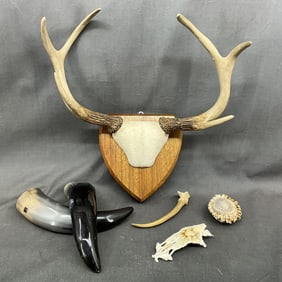 Carved Wood Hunting Trophy & More