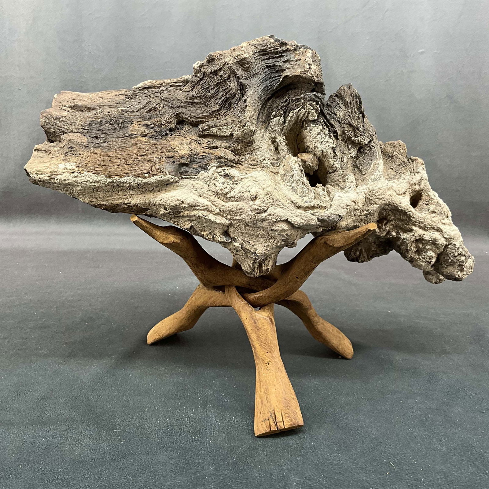 Large Petrified Wood, 14lbs (1 of 7)