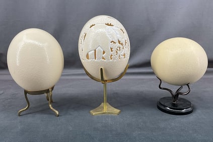3 Ostrich Eggs, One Carved