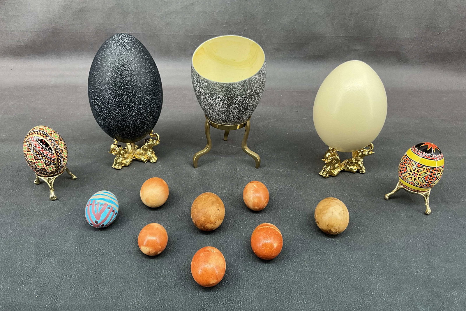 1 Emu Egg, 2 Rhea Eggs & More (1 of 8)