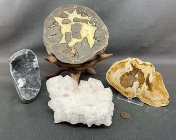 Septerrian Node, Amethyst, Petrified Wood