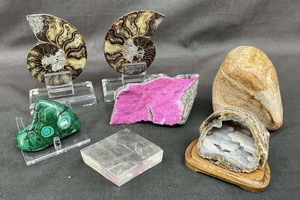 Ammonite, Malachite, Cobalto Calcite