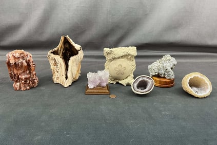 Petrified Wood, Pyrite On Quartz, Calcite