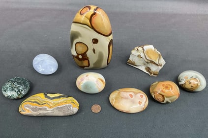 Polychrome Jasper, Bumble Bee Jasper
