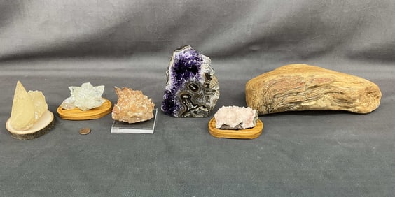 XL Petrified Wood, Amethyst Flower