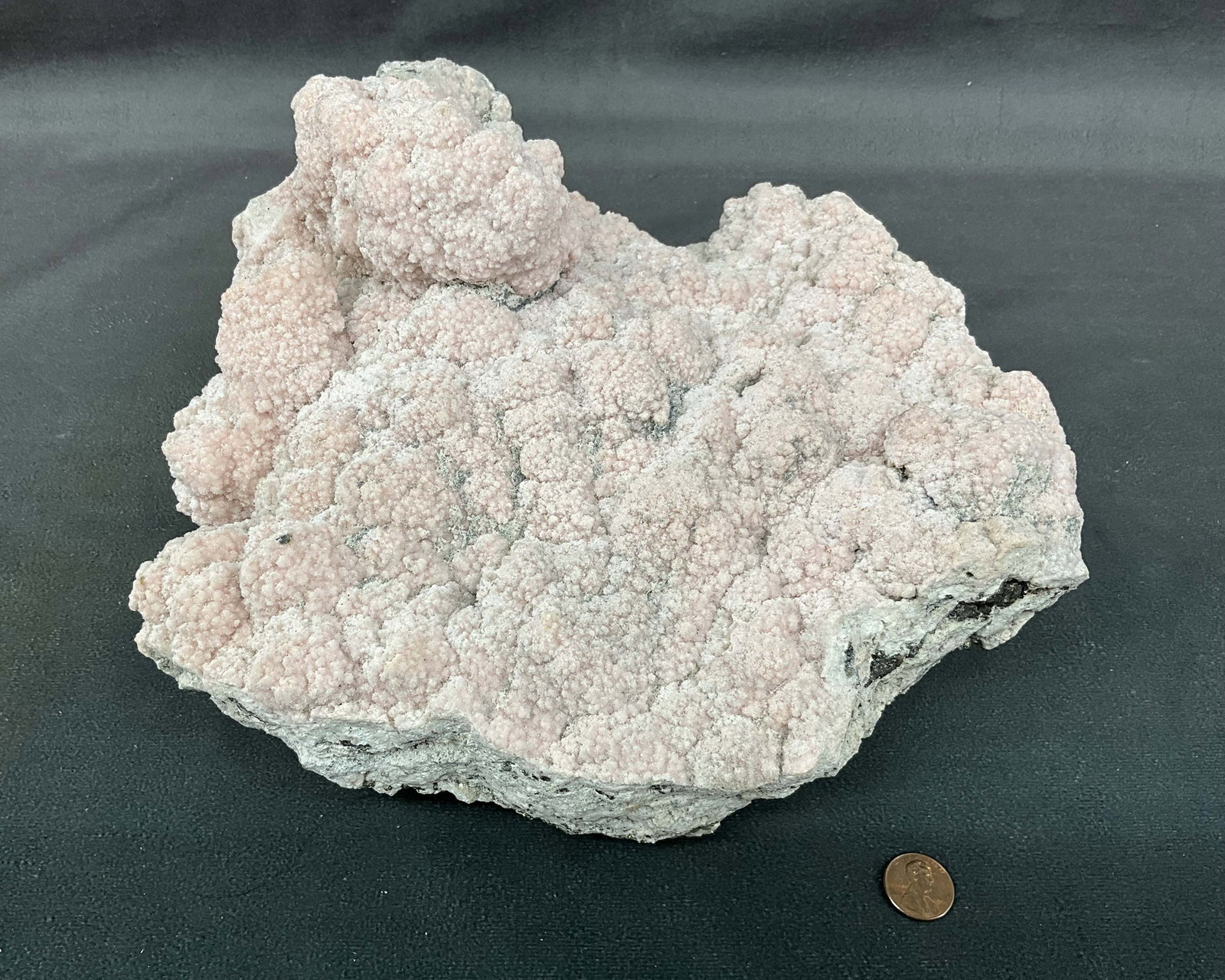 Rhodochrosite, Raw On Lead & Pyrite: Nice scale rough rhodochrosite on lead & Pyrite. Size: 6"T x 10"L x 9.5"D Provenance: From the lifetime collection of an Oreland, Pennsylvania private estate.