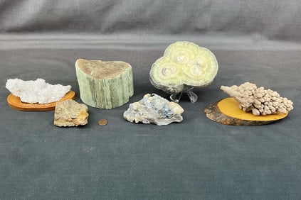 Petrified Wood, Stalactite, Fluorite