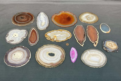 15 Medium Agate Slices