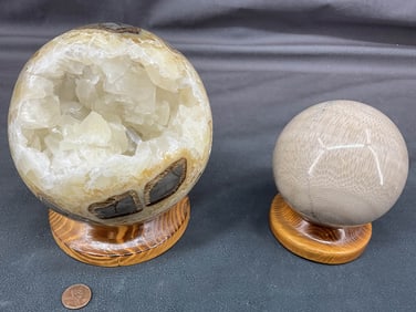Large Septerrian Sphere & Petrified Wood