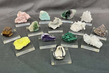 Specimens With Labeled Stands