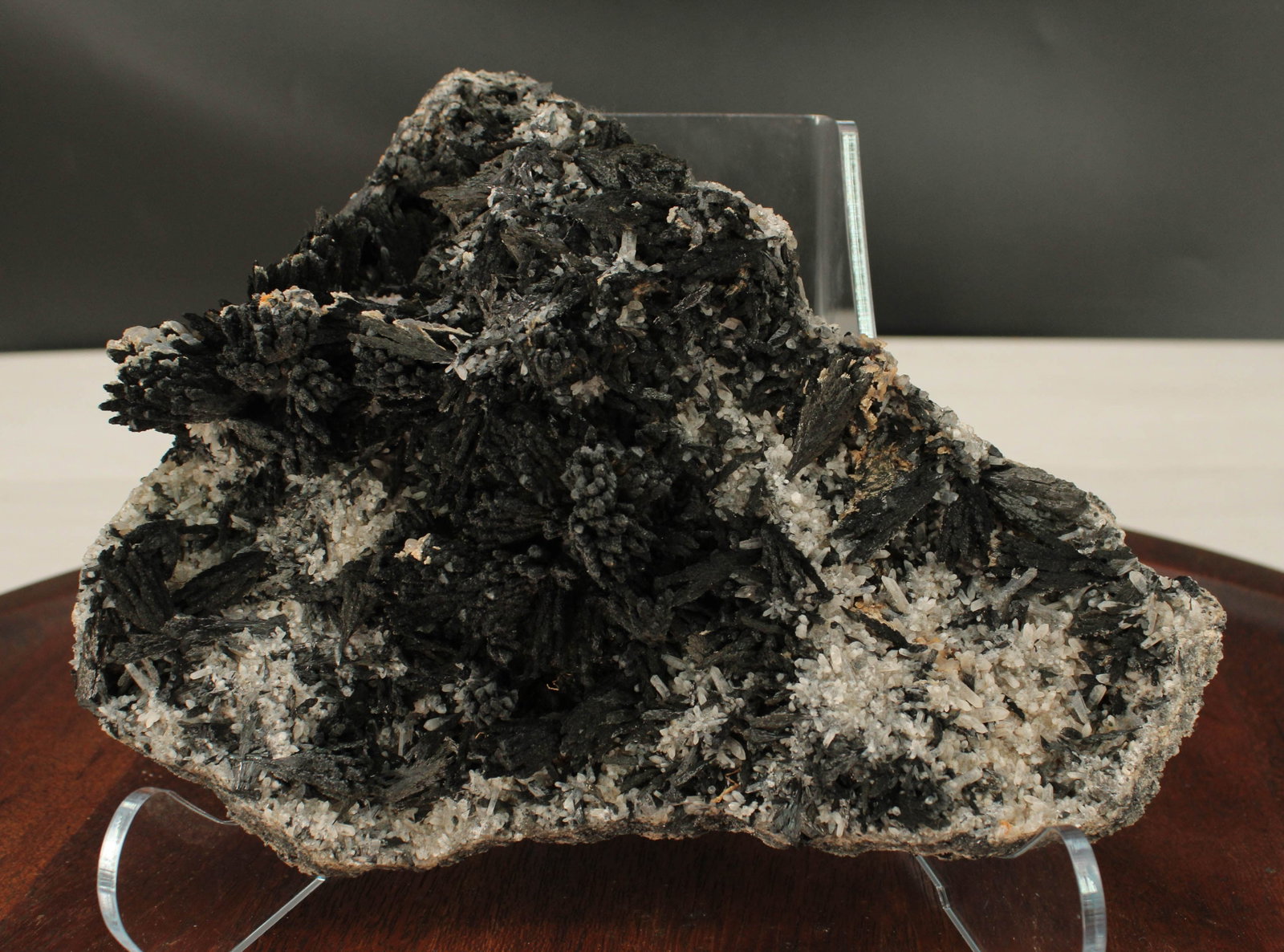Tourmaline & Uvite on Stand: Black tourmaline and uvite plate. Stand included. Size: see photo Provenance: From the lifetime collection of an Oreland, Pennsylvania private estate.