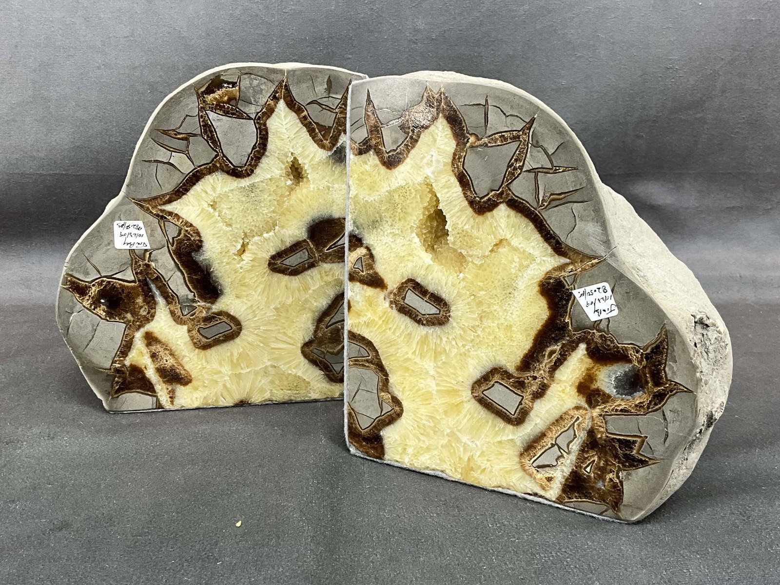 Septerrian Bookends, Dragon Stone, Eggs (1 of 8)