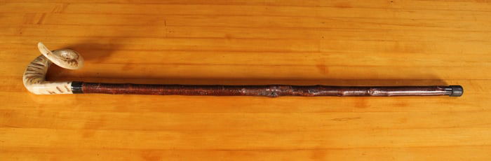Ram's Horn Walking Stick